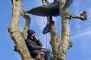 Marcus Carambola slept in the plane tree for four nights to stop it from being felled.