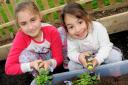 Youngsters at this year's Islington in Bloom launch on Saturday. Picture: Islington Council