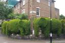 The famous elephant hedges in Blackstock Triangle, a previous winner of Best Small Neighbourhood