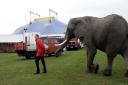 Elephant at the circus. Picture: PA Archive/PA Images
