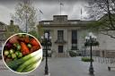 Islington Council's meal options have been praised by the Vegan Society