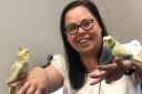 Budgies used by Performing Pets Therapy charity
