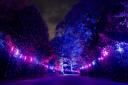The all new Christmas at Kenwood light trail opens to the public on Friday December 1.