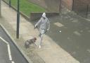 The video appears to show a man kicking a dog in Hazelville Road,  Islington