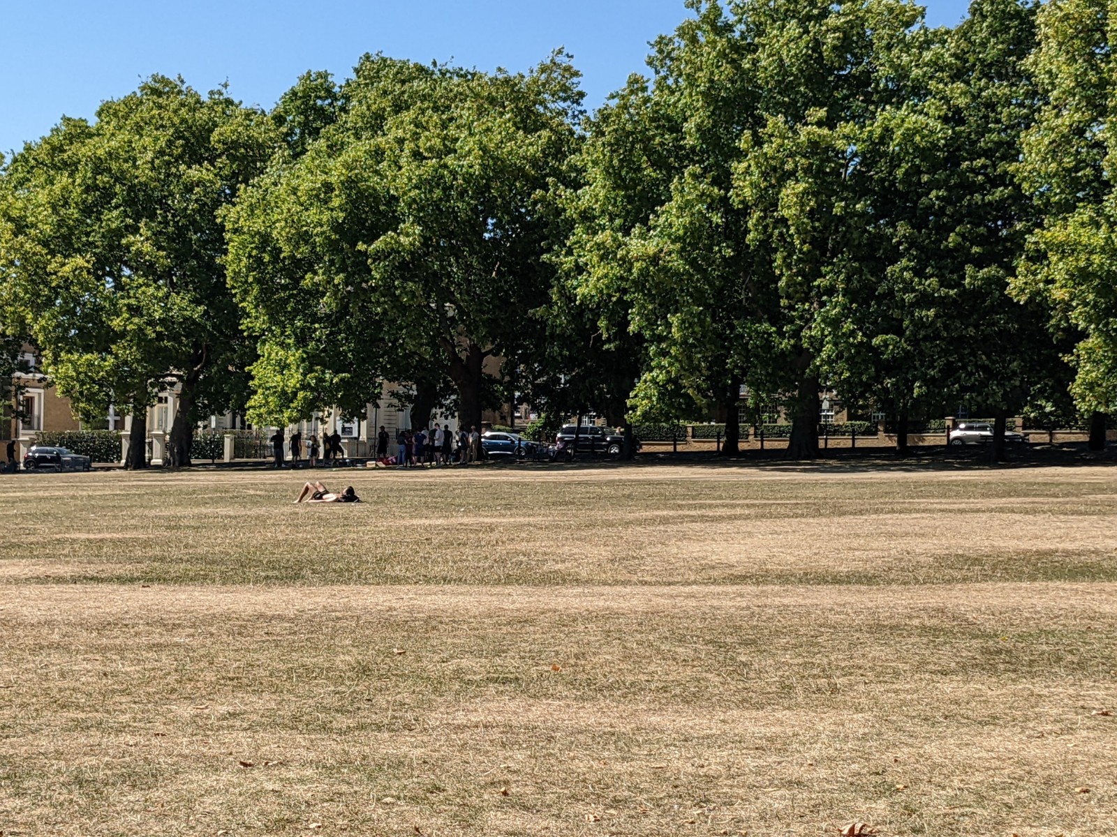 Tinder box dry grass in Highbury Fields , August 2022 pic Julia Gregory, free for use by partners of BBC new wire service