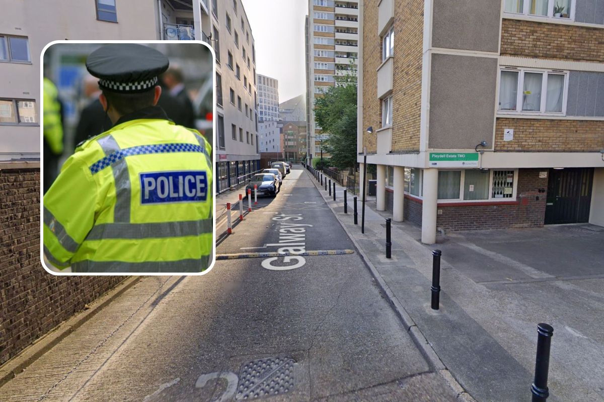 Islington man charged over dead cats found on Pleydell Estate - Vimarsana News