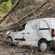 A tree down on a parked van in Millfield Lane, by Hampstead Heath.