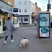 Dog-owners in Hackney, Islington and Hampstead are the target of a new vegan dog food campaign