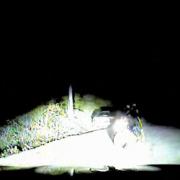 The pair are caught in the glare of the police car's headlights, as they careered towards a Traveller's site in Essex, pursued by police helicopter. Picture: Met Police