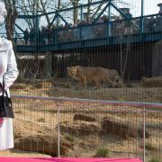 The Queen opens the Land of the Lions at London Zoo in 2016