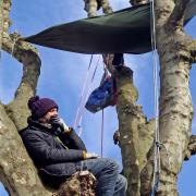 Marcus Carambola slept in the plane tree for four nights to stop it from being felled.