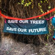 Residents protesting against plans to fell trees on the Parkland Walk