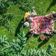 A family enjoying a picnic outdoors