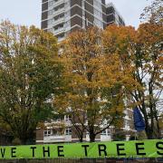 Save The Trees fought against felling the trees at Dixon Clark Court