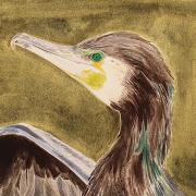 Cormorant is on show at Lauderdale House from September 28 until October 24