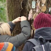 The Baby Loss Tree is on the Parkland Walk near the entrance at Holmesdale Road, Highgate. This year's walk takes place on October 9