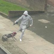 The video appears to show a man kicking a dog in Hazelville Road,  Islington