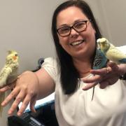 Budgies used by Performing Pets Therapy charity